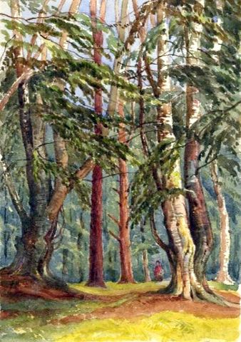 Trees with a fFgure