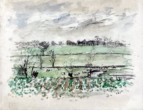 Potato Field, Essex