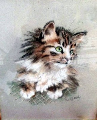 Kitten