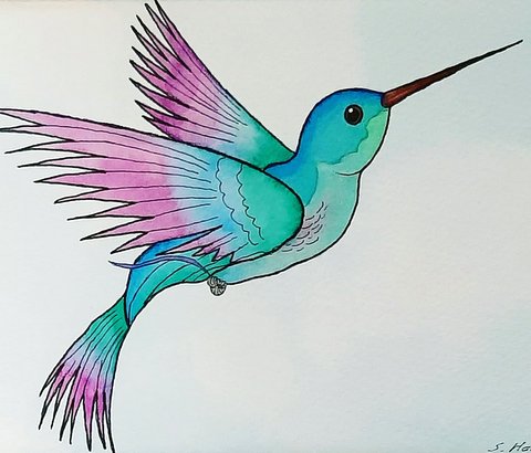 Humming Bird