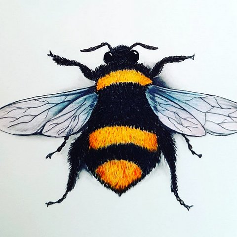 Bee