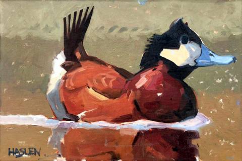 Ruddy Duck II