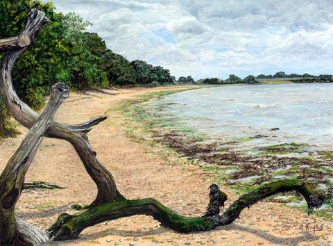 Harkstead Beach, Suffolk