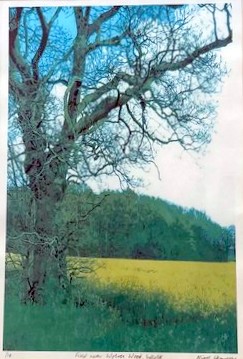 Field near Wolves Wood, Suffolk