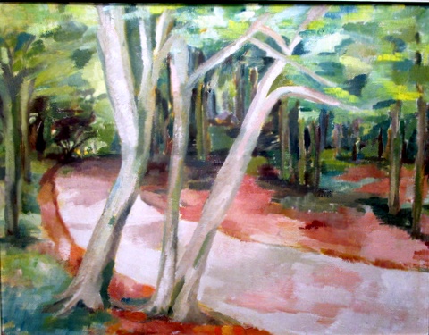 Woodland Path