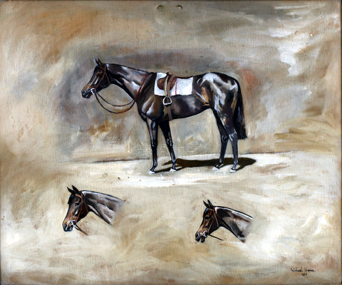 Studies of a Horse
