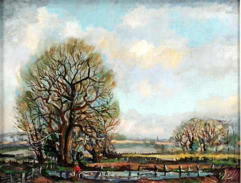 Wych Elm by The Stour