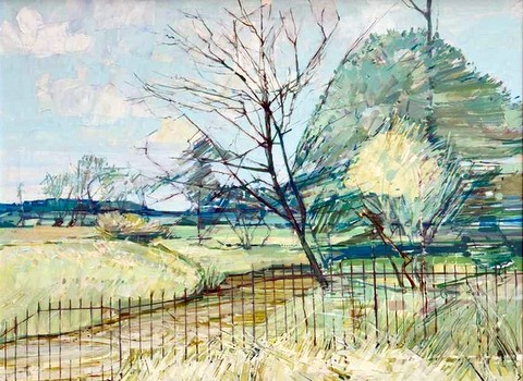 Fence and Stream