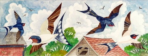 Swallows