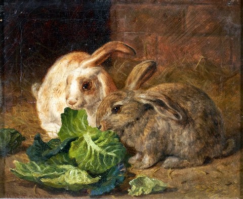 Two Rabbits