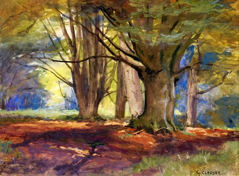 Wooded Landscape