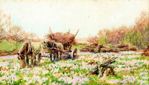 Landscape