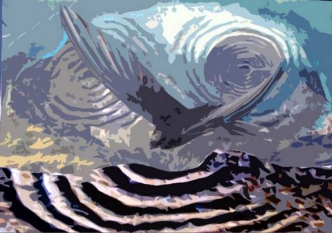 Spiral Bird