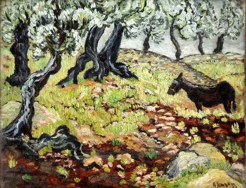 An Olive Grove
