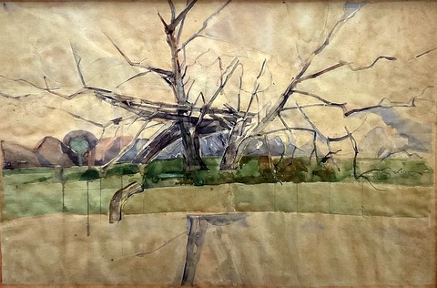 Pollarded Trees beside the Stour