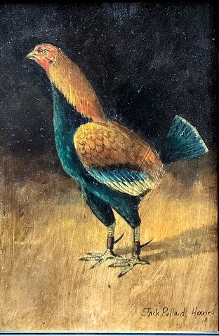 Fighting Cock