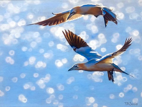 Flying Free