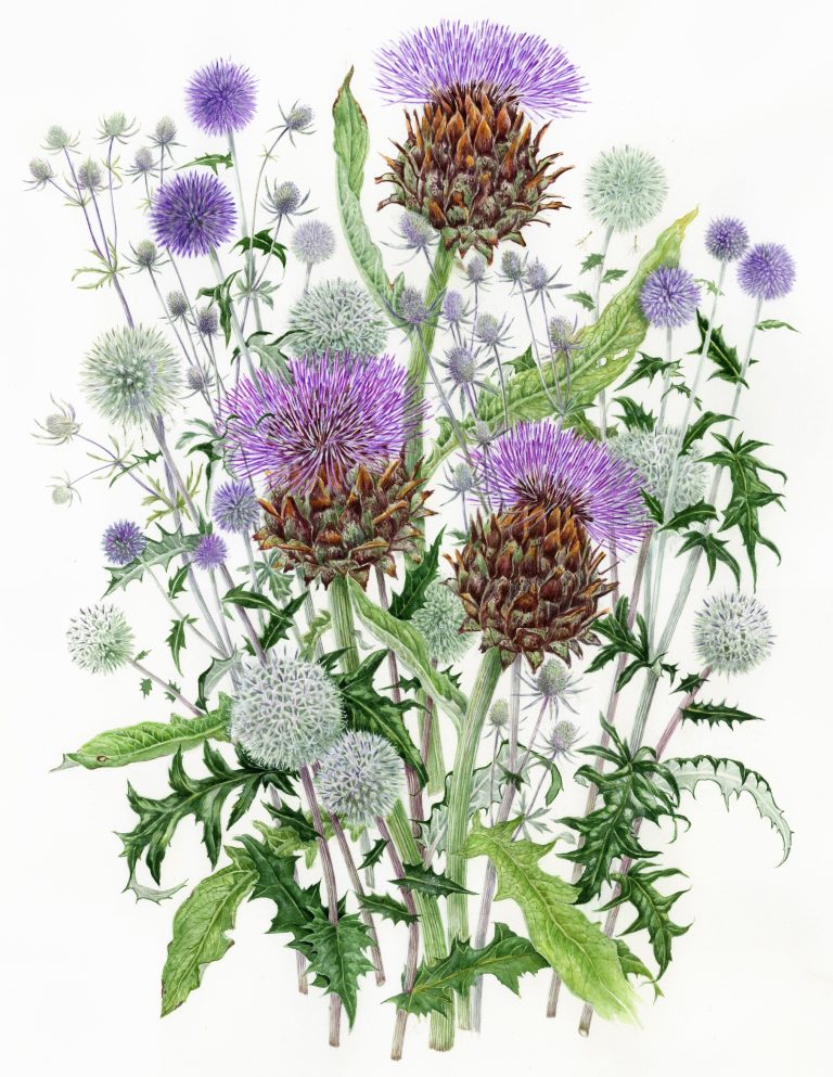 Purple Passion