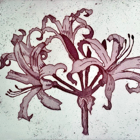 Nerine