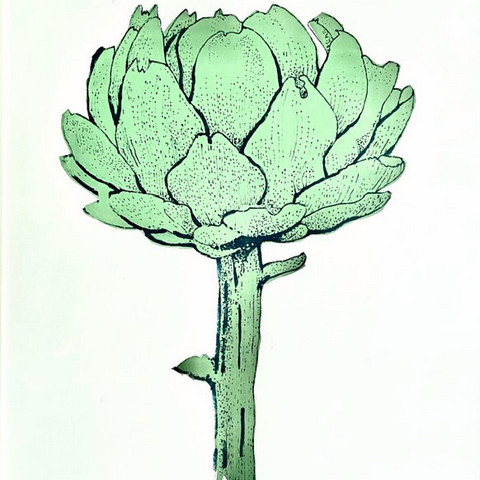 Artichoke
