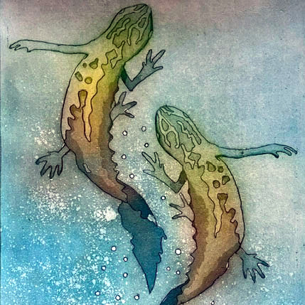 Swimming Newts