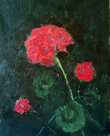 Geranium