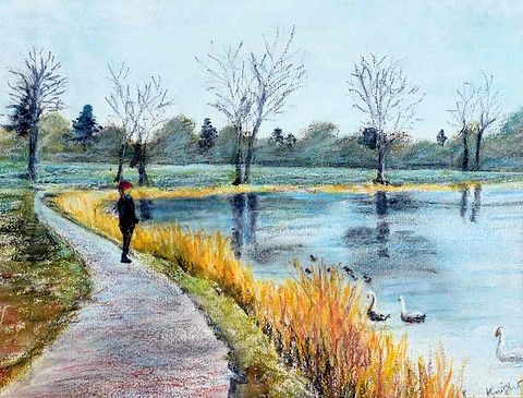 Hillsborough Lake