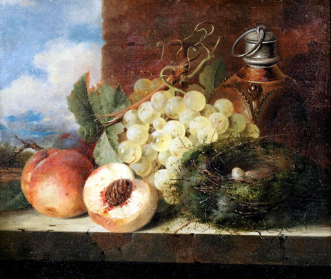 Still Life with Bird's Nest