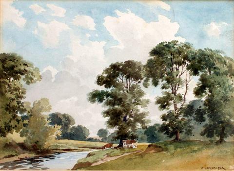 Cows Beside the River