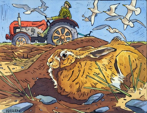 Hare and Tractor