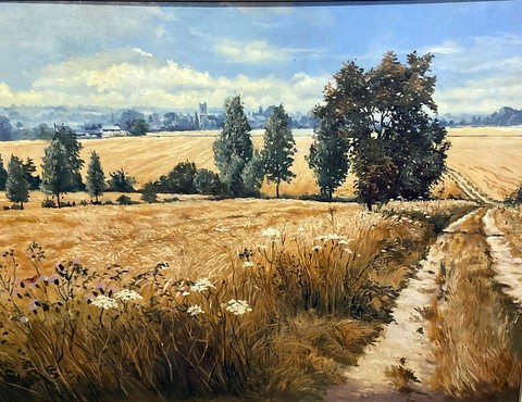 The Shelley Road