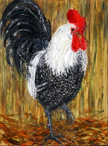 Cockerel