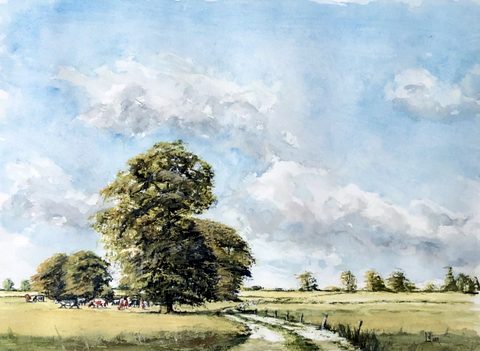 Suffolk Countryside