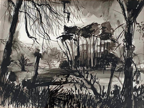 Landscape of trees