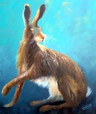 Brown Hare