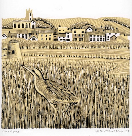 Reedbed