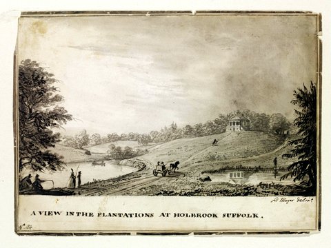 A view in the plantations at Holbrook Suffolk