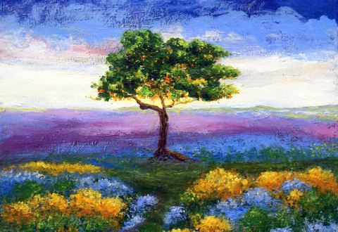 Holm Oak on Heathland