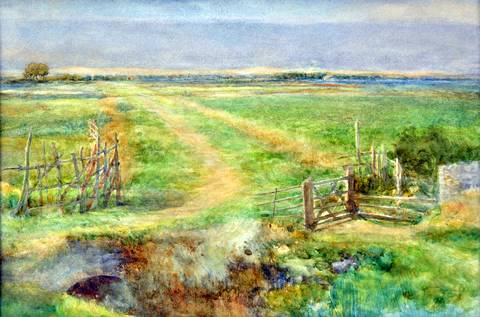 Across the Meadows
