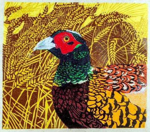 A Pheasant in the Barley
