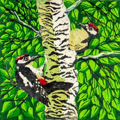 Woodpecker