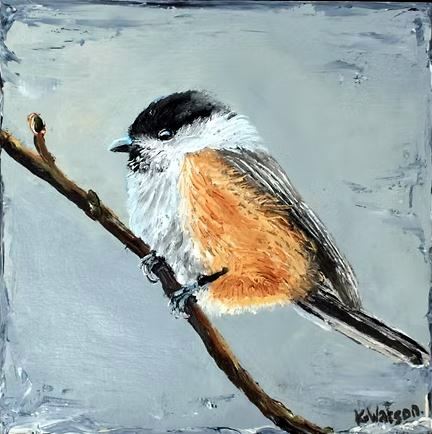 Little Black Cap