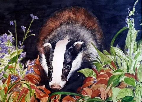 Badger