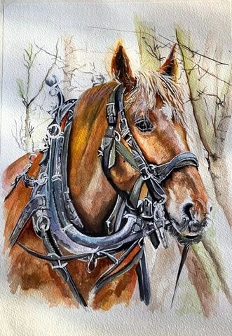 Suffolk Punch