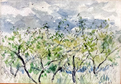 Trees