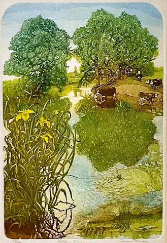 Yellow Iris