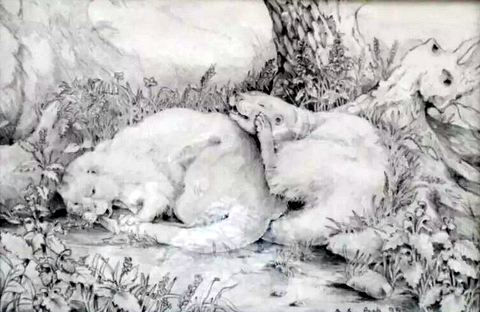 Otters