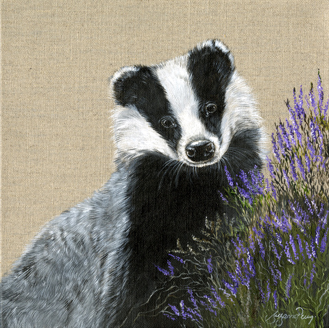 Badger