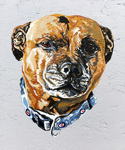 Pet Portrait