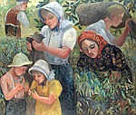 Summer - Picking Peas